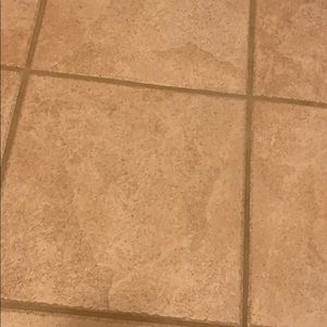 Meet your Posher, Chelsea